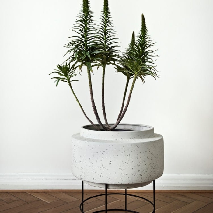 botanique---living.jpg