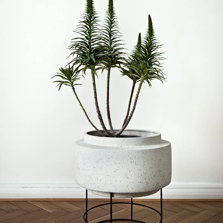botanique---living.jpg