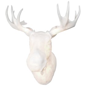 NORTHERN lampa boczna MOO